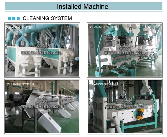 European Standard Wheat Flour Mill